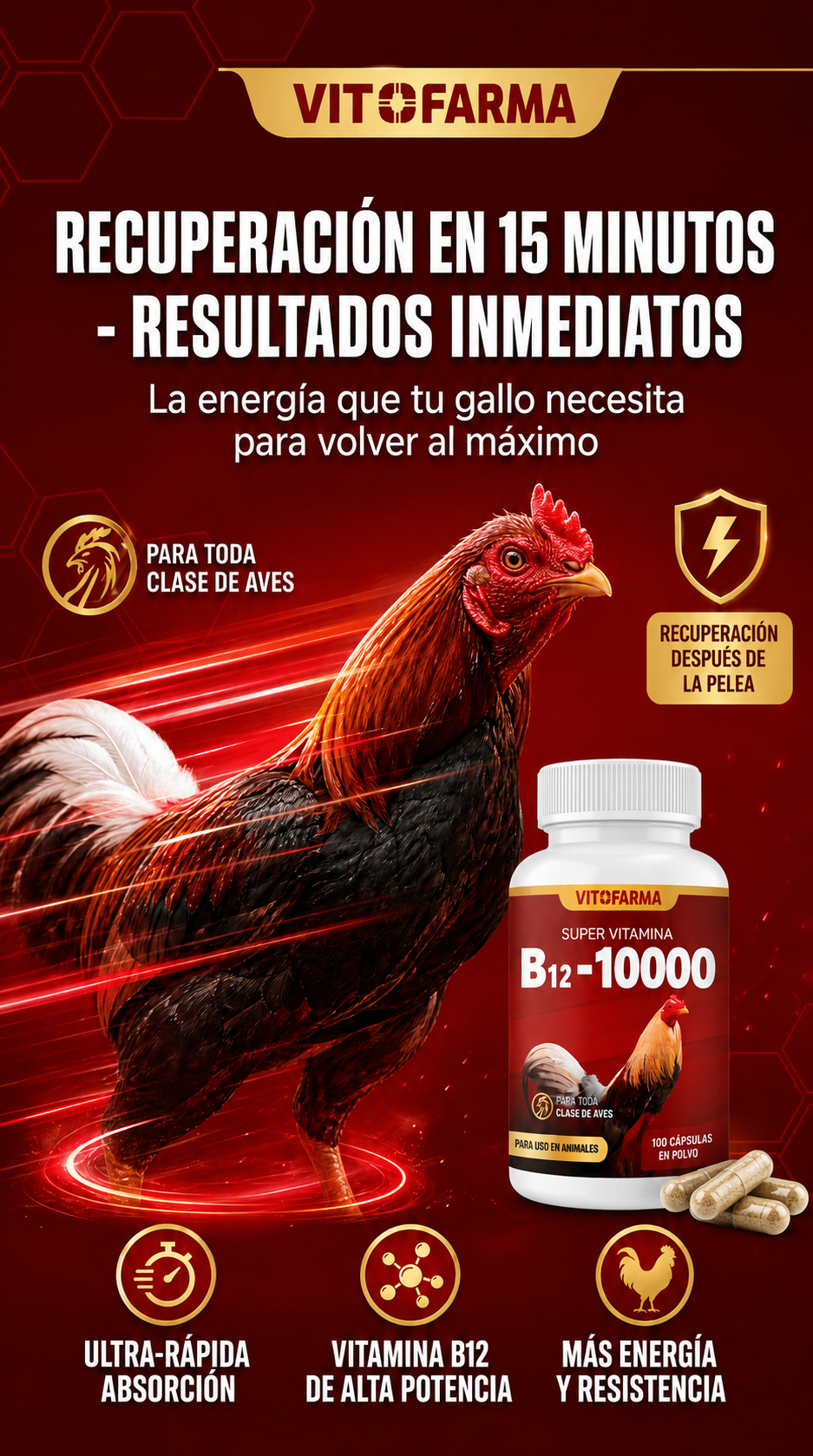 Recuperacion rapida despues de cada pelea